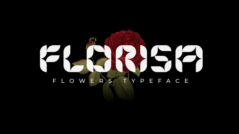  for each glyph

Florisa: A Unique Shape Font for Displays, Headlines, Logos, etc