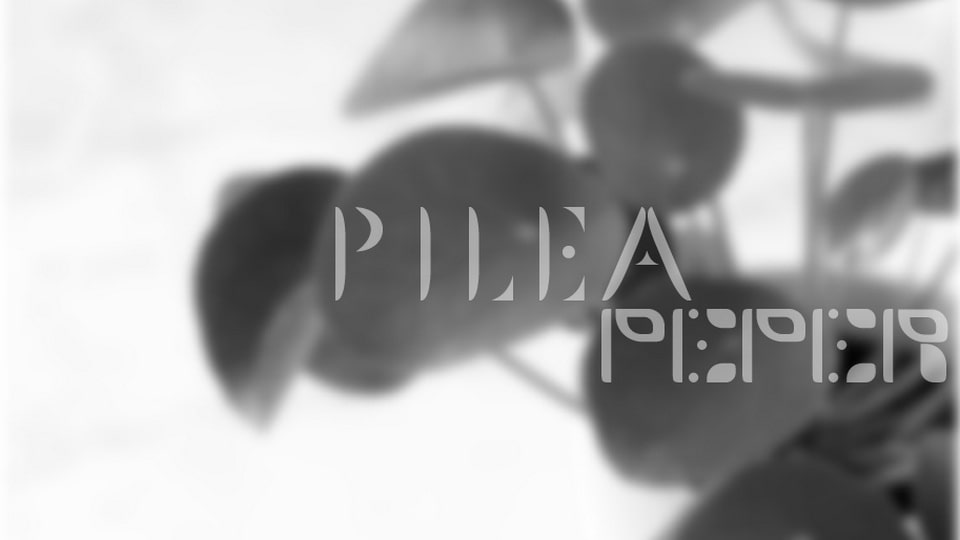 plantasia_pileapeper-5.jpg