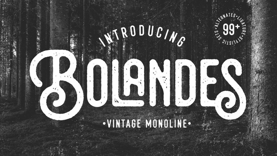 Bolandes: A Hand-Crafted Font with Vintage Charm and Modern Flair