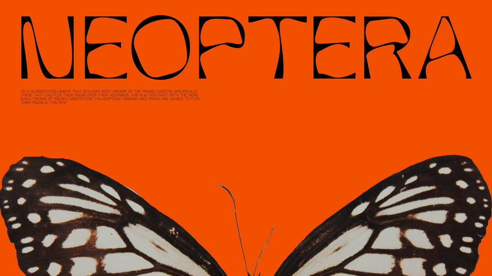 

 Neoptera - A Captivating Experimental Font