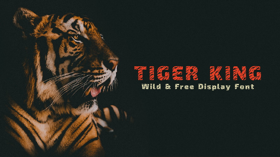 

Tiger King: An Incredibly Unique Decorative Typeface That Truly Stands Out