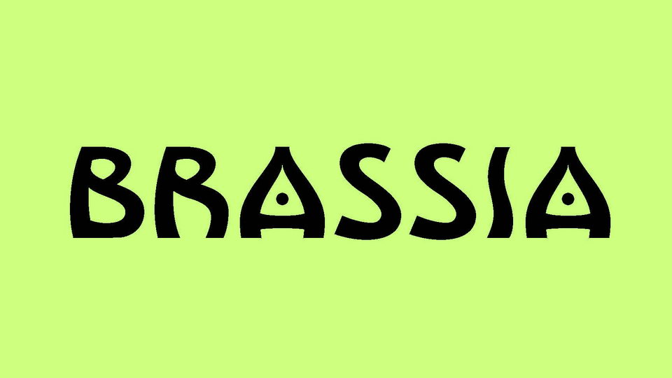 

Brassia: A Unique and Versatile Display Typeface Combining Solarpunk and Art Nouveau Aesthetics