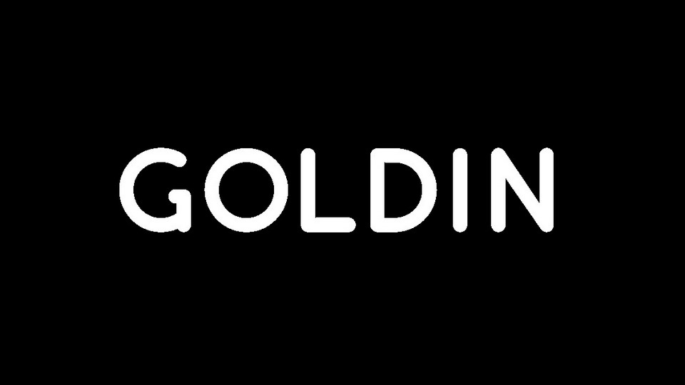 

Goldin: A Versatile and Stylish Sans Serif Font Family Perfect for Modern Design Projects