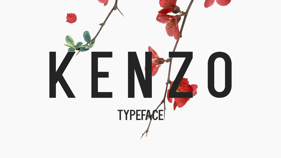 

Kenzo: A Visually Stunning Display Typeface with Multilanguage Support