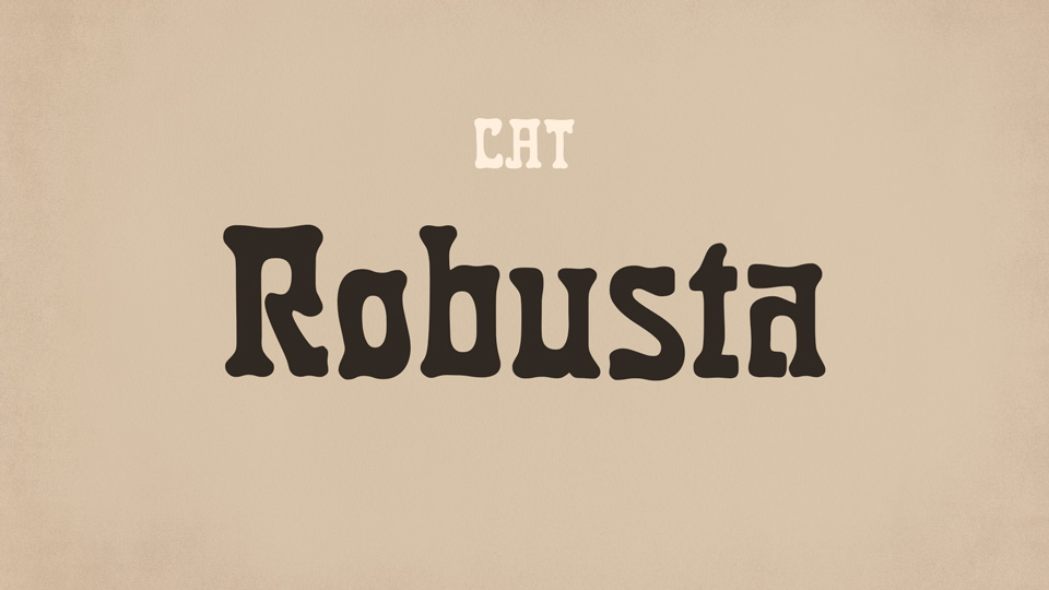 

Robusta: A Timeless Typeface with an Unmistakable European Flair