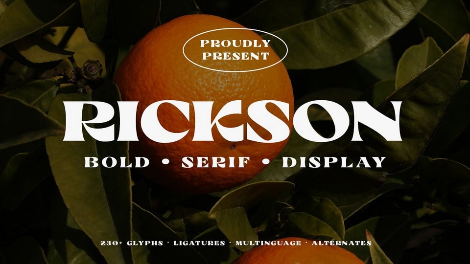  Rickson: A Versatile and Bold Serif Typeface with a Satisfyingly Large Serif