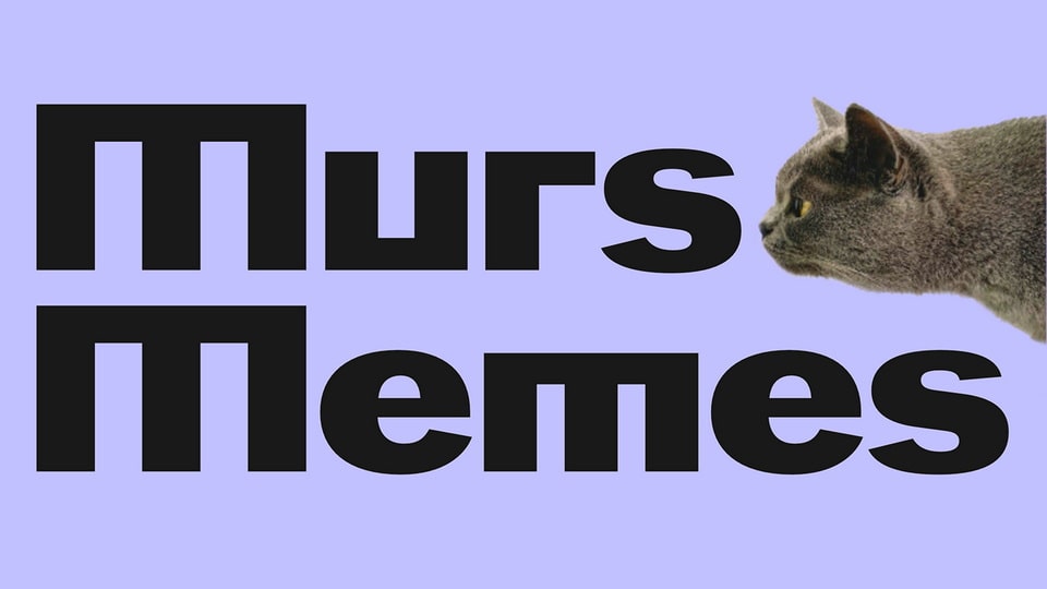 Murs Memes: An Unconventional Alphabet Experiment