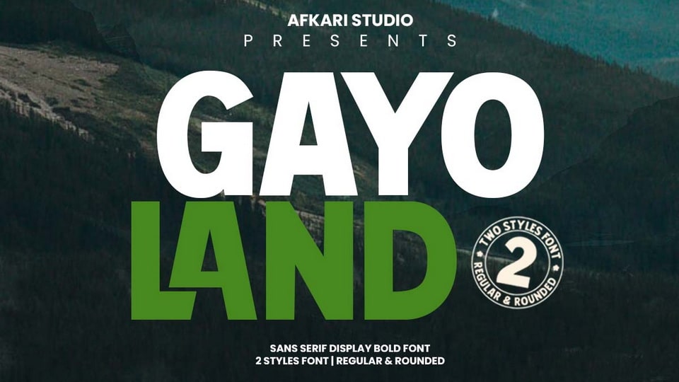 Gayo Land: A Bold and Retro-Inspired Display Typeface