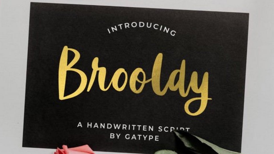 

Brooldy: Perfect for Logo Design, Branding, Apparel Design, Signage, Posters, Wedding Invitations and More