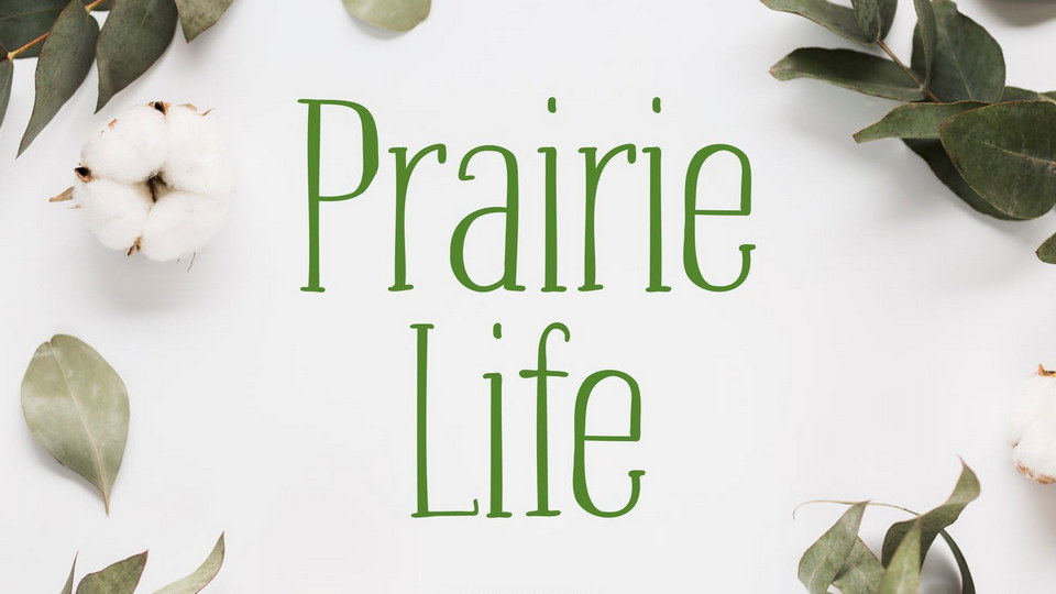 prairie-_life.jpeg