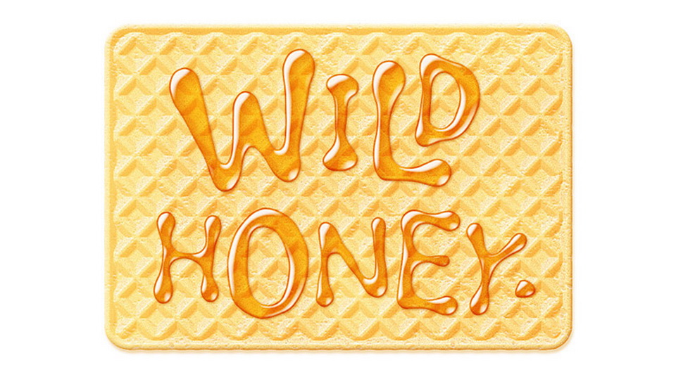 

Wild Honey: A Playful, Dynamic Handwritten Font