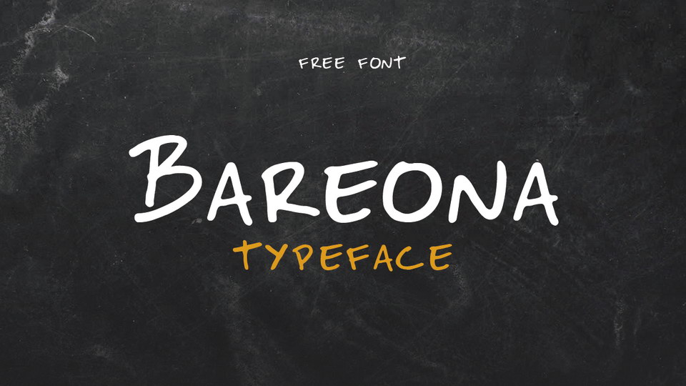 

Bareona: Bringing a Touch of Brazilian Flair to Your Design Projects
