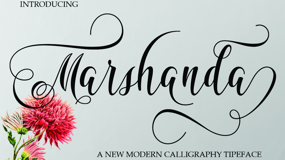  

Marshanda: An Exquisite Modern Calligraphy Font
