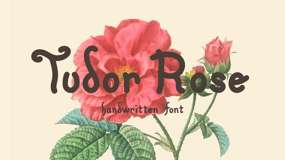 

Tudor Rose: A Modern Typeface With a Classic, Timeless Look