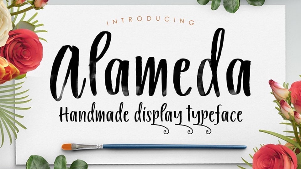 Alameda: A Modern and Engaging Handwritten Brush Font