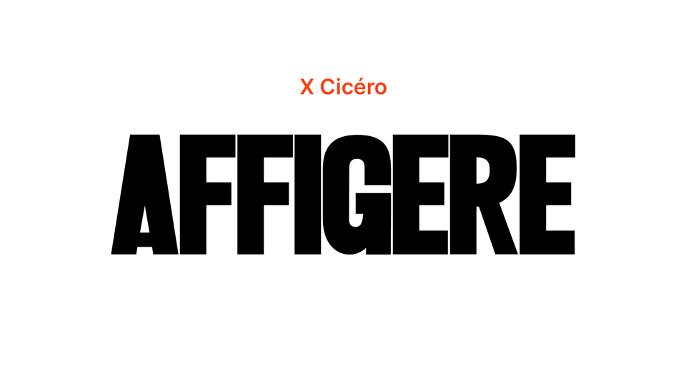 Affigere: Bold and Unique Sans Serif Font Crafted from Mysterious Wood Type