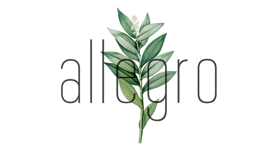 

Allegro: A Sans Serif Font with a Joyful and Graceful Essence