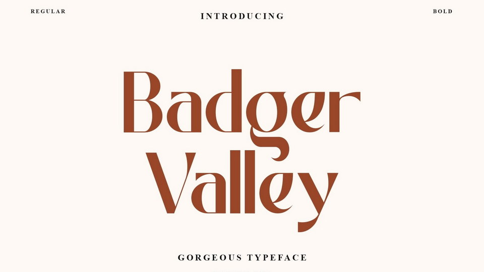 badger_valley.jpg