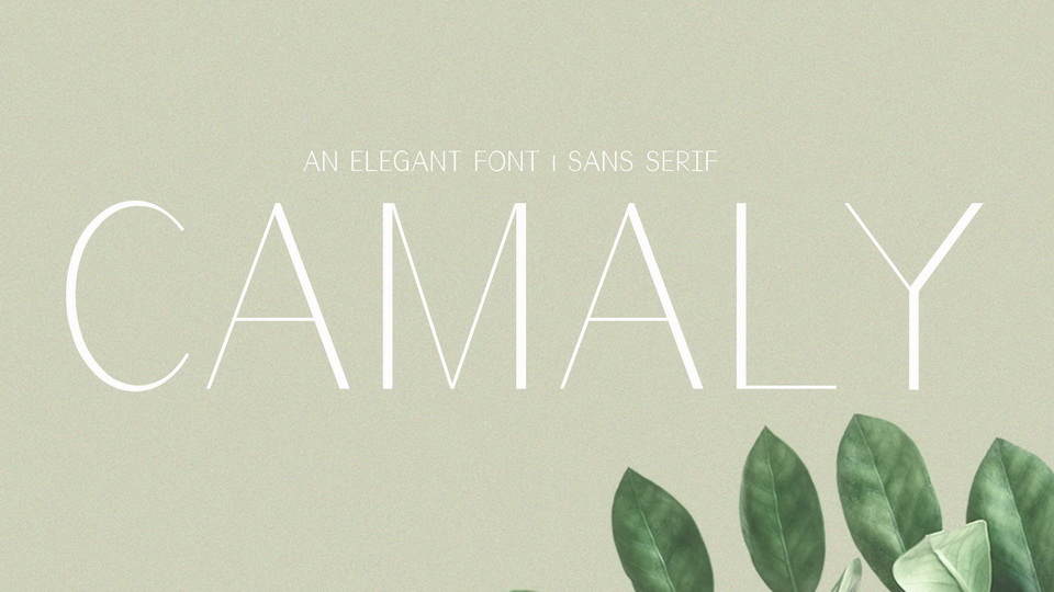 

Camaly: A Font That Exudes Modern Elegance