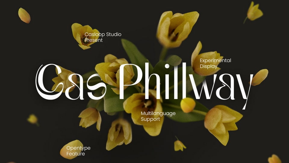 

Cas Phillway: Effortless Beauty with High Contrast and Multi-Language Support
