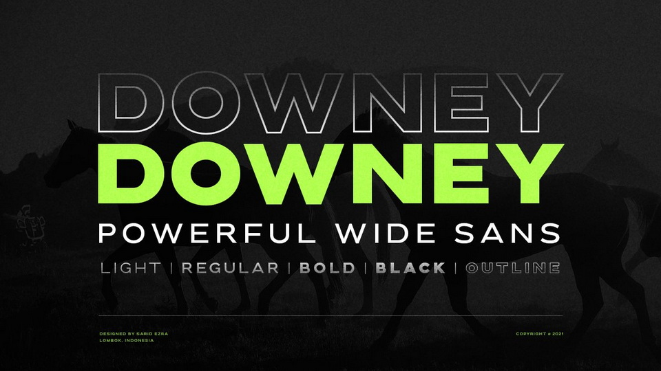 Downey: A Bold and Casual Sans-Serif Font for Elegant Designs