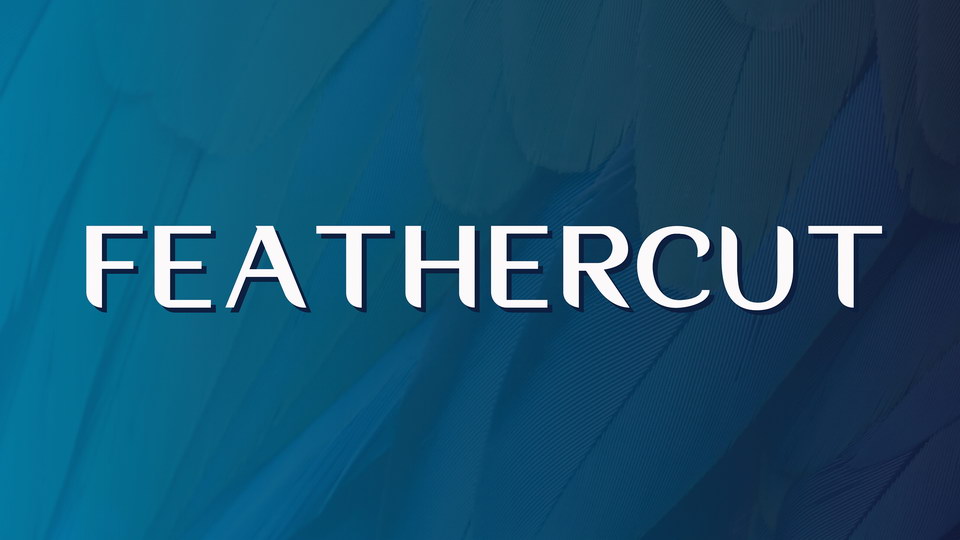 

Feathercut: An Exquisite Sans Serif Typeface Exuding Sophistication and Elegance