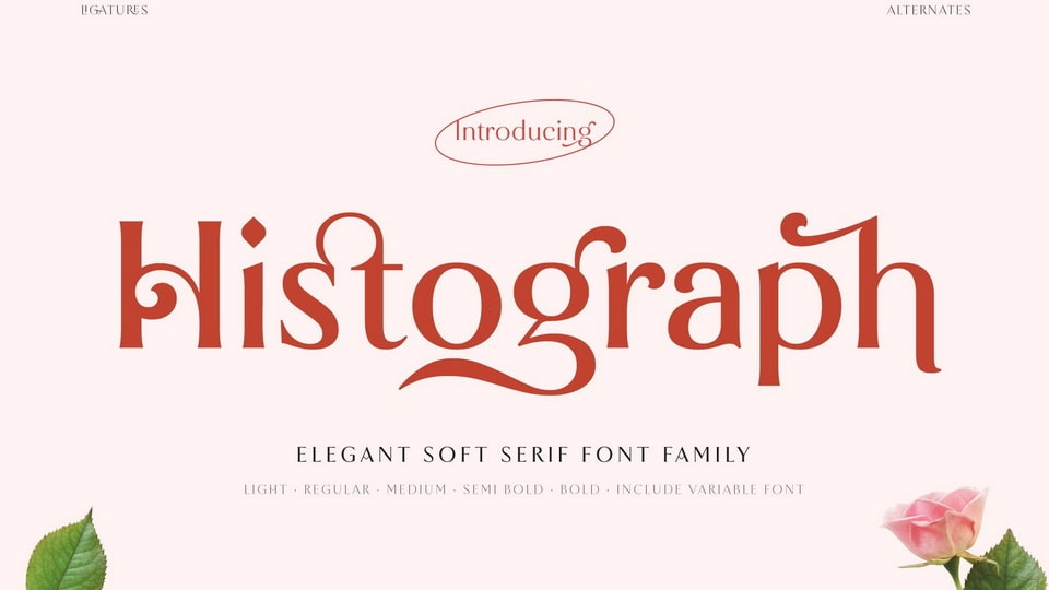  Histograph: An Exquisite Display Typeface for All Your Design Needs
