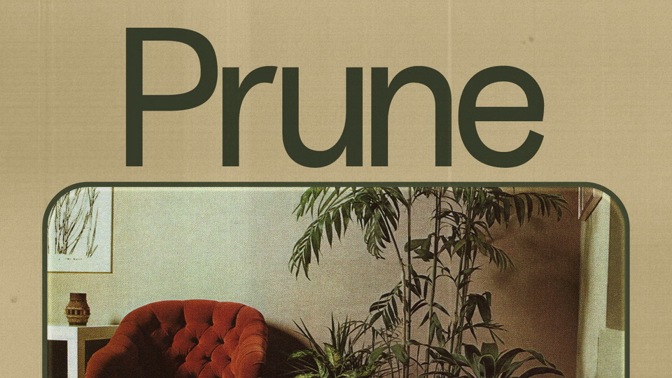 

Prune: A Minimalistic Beauty