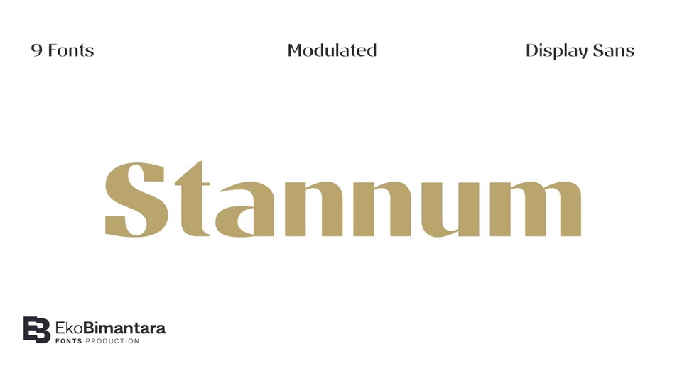 

Stannum - Ultra-High Contrast Modulated Display Sans Serif Font Family