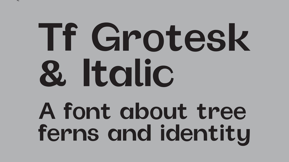 

Tf Grotesk: A Font Celebrating New Zealand Identity and Paying Homage to Iconic Tree Ferns
