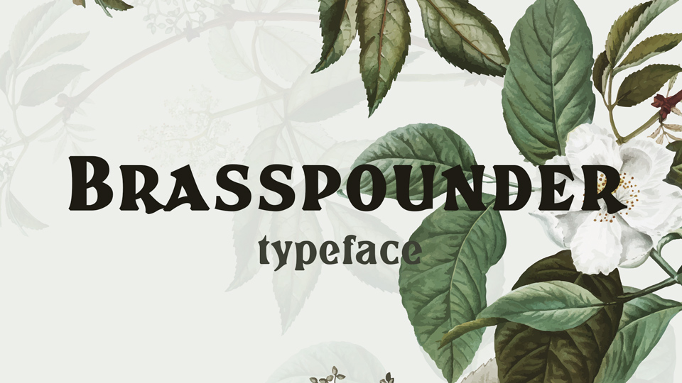 

Brasspounder: A Fancy Vintage Font Family with a Touch of Flair