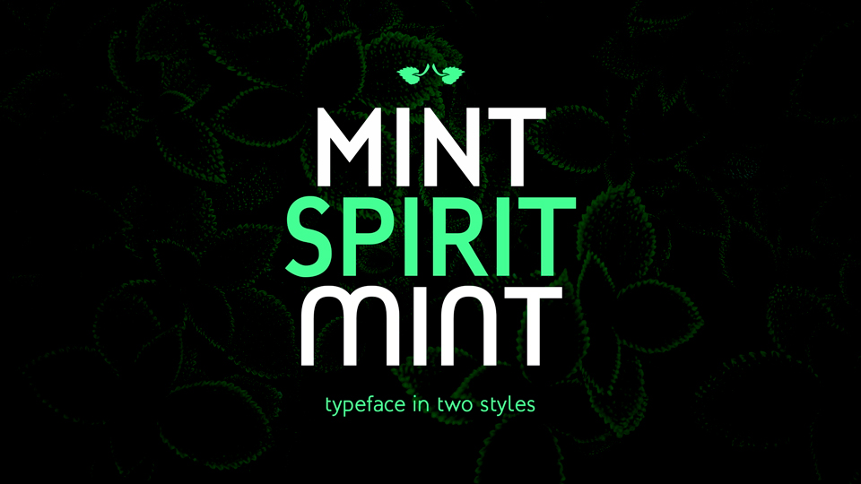 

Mint Spirit: A Modern Sans Serif Font Family