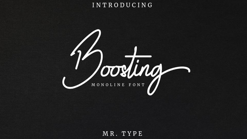 

Boosting: A Versatile and Elegant Signature Font