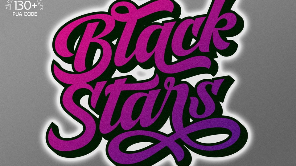 

Black Stars - A Neat and Retro Brushed Handwritten Font