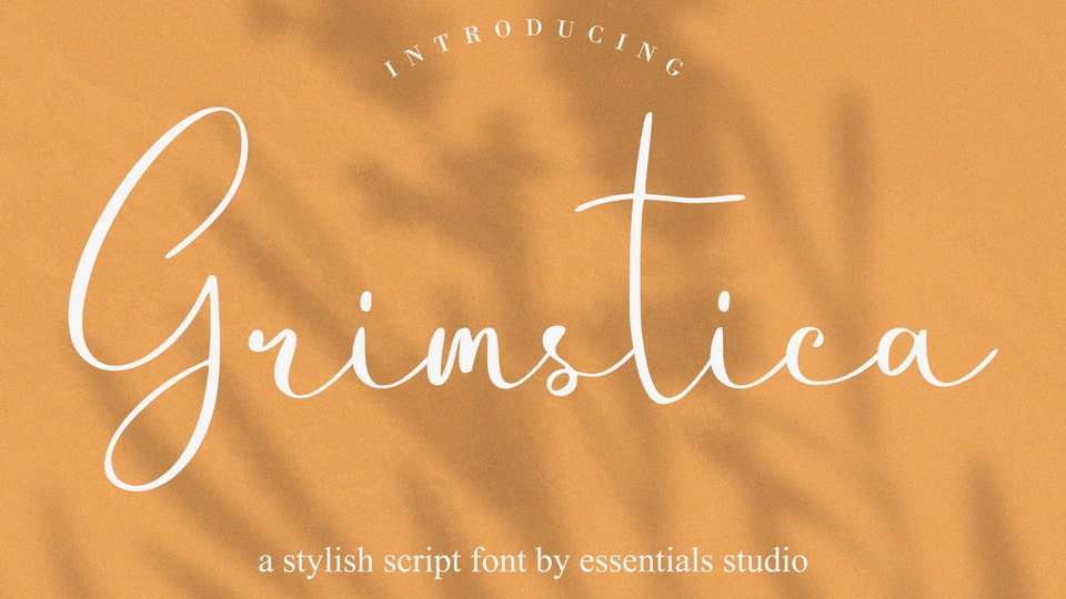 

 Grimstica - A Stylish Script Font