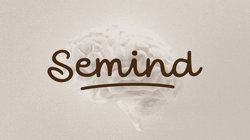 

Semind: A Handwritten Font with a Monoline Style