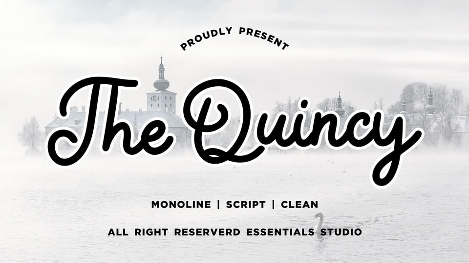 

The Quincy Font: Perfect for Product Packaging, Branding, Magazines, Social Media, Weddings, and Expressing Text Above a Background