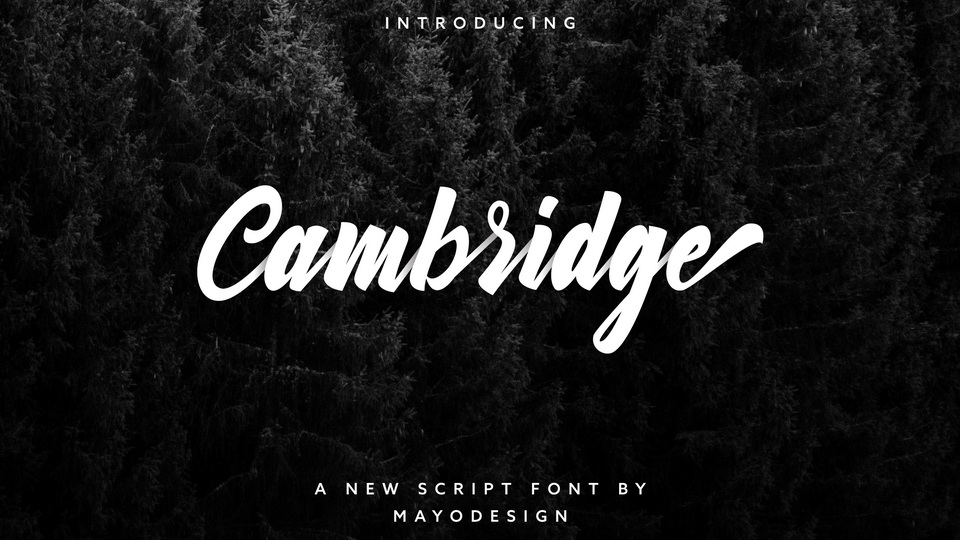 Versatile Cambridge Font: Ideal for Logotypes, Apparel, Invitations, and More