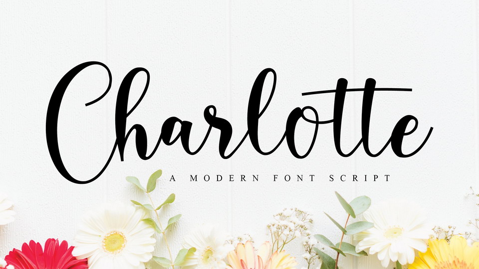 

Charlotte: A Font That Stands Out From the Crowd