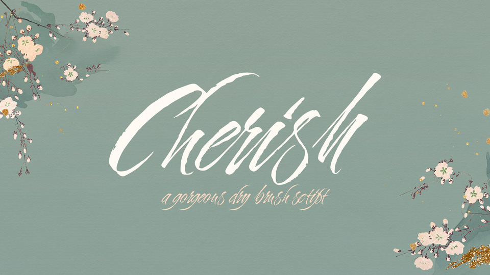

Cherish: A Beautiful Dry Brush Style Handwritten Font