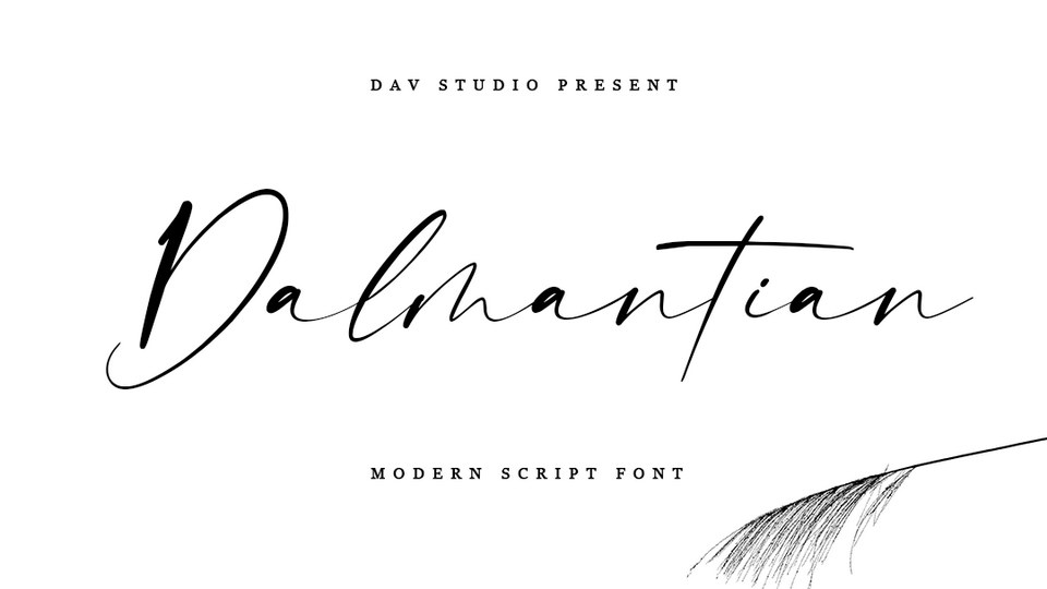 

Dalmantian: A Modern and Stylish Signature Script Font