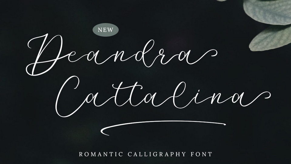 Deandra Cattalina Font: Adding Romance and Sophistication to Your Designs