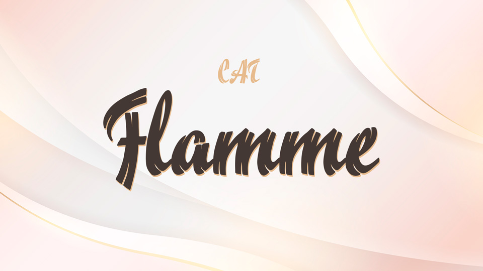  CAT Flamme: A Graceful Hand-Lettered Script Font with Doubled Strokes