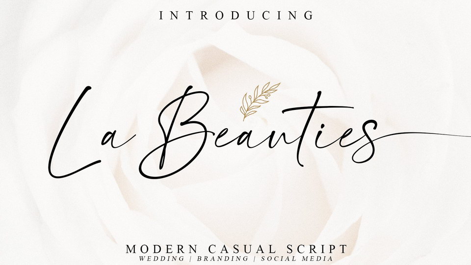 

La Beauties: An Elegant Handwritten Font with a Modern and Chic Character