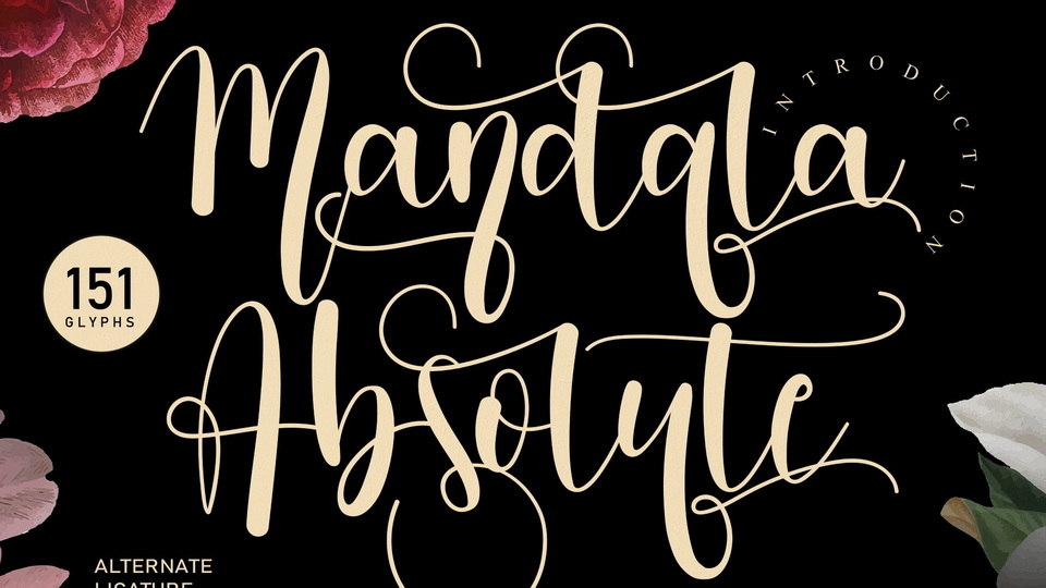 Add Sophistication to Your Designs with Mandala Absolute Script Font