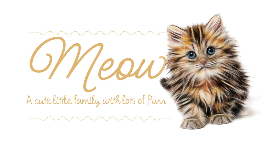  Meow Script: A Fun and Versatile Handwritten Font with Alternate Forms