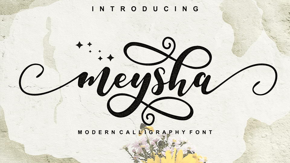 

Meysha: An Incredibly Useful and Attractive Font