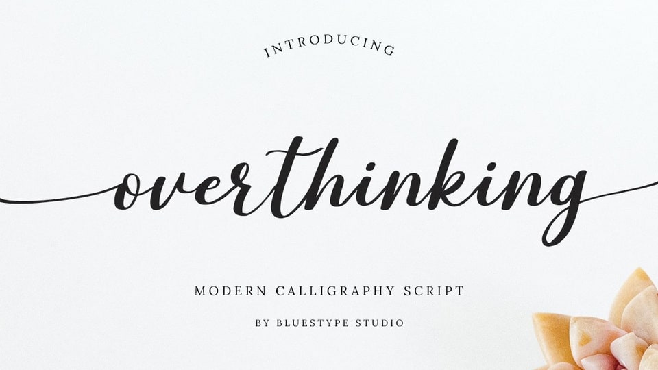 Overthinking: A Handwritten Calligraphy Font with Graceful Curves and PUA Encoding