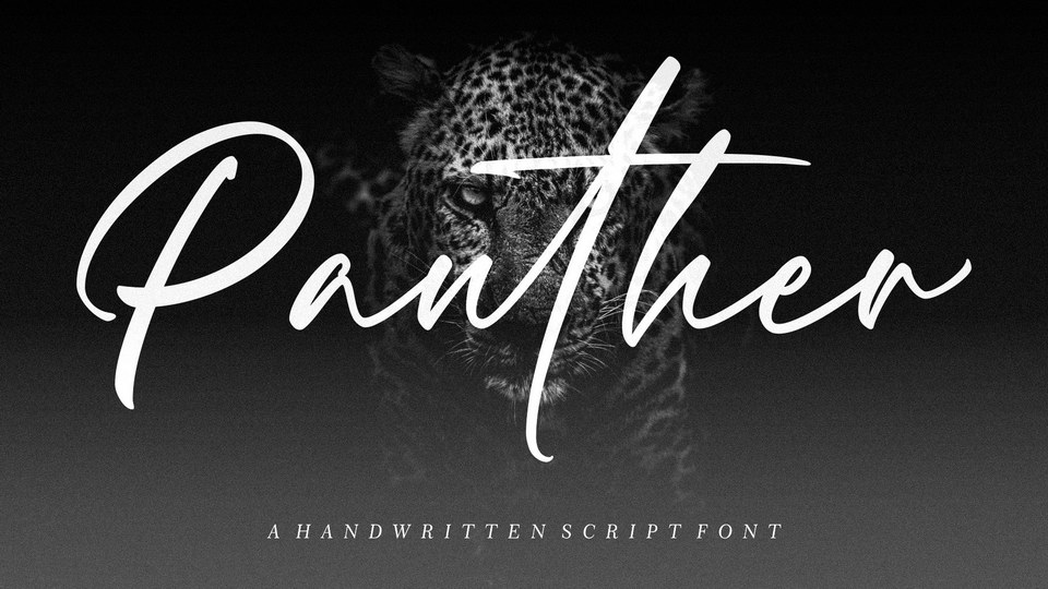 panther.jfif
