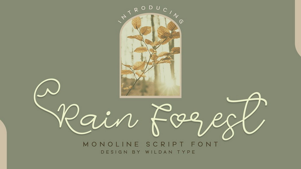 

Rain Forest Script: Unlock Your Creativity with Professional Typography